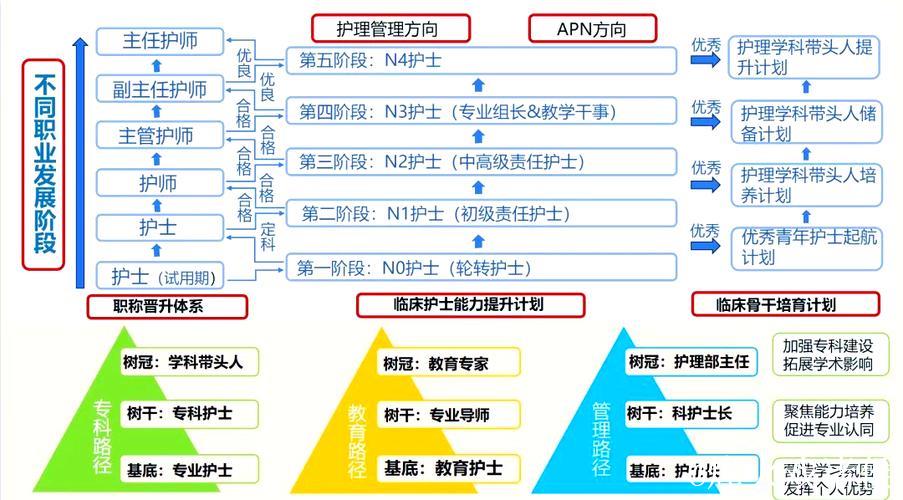 国产精品护士日本职业发展与挑战分析 国产精品护士日本职业发展与挑战分析